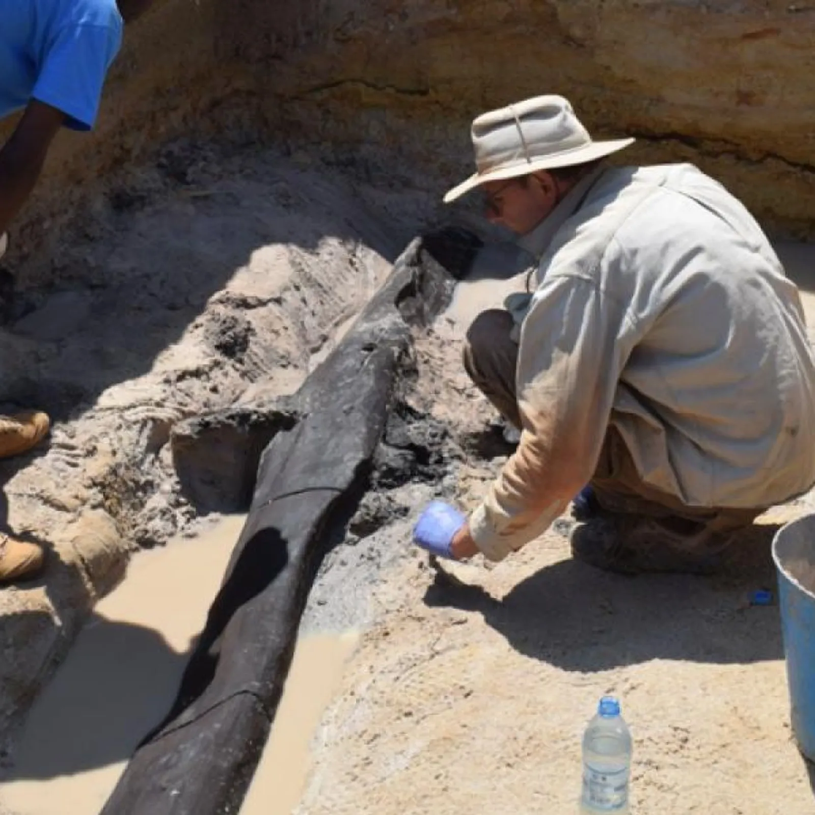 Le premier bâtiment
