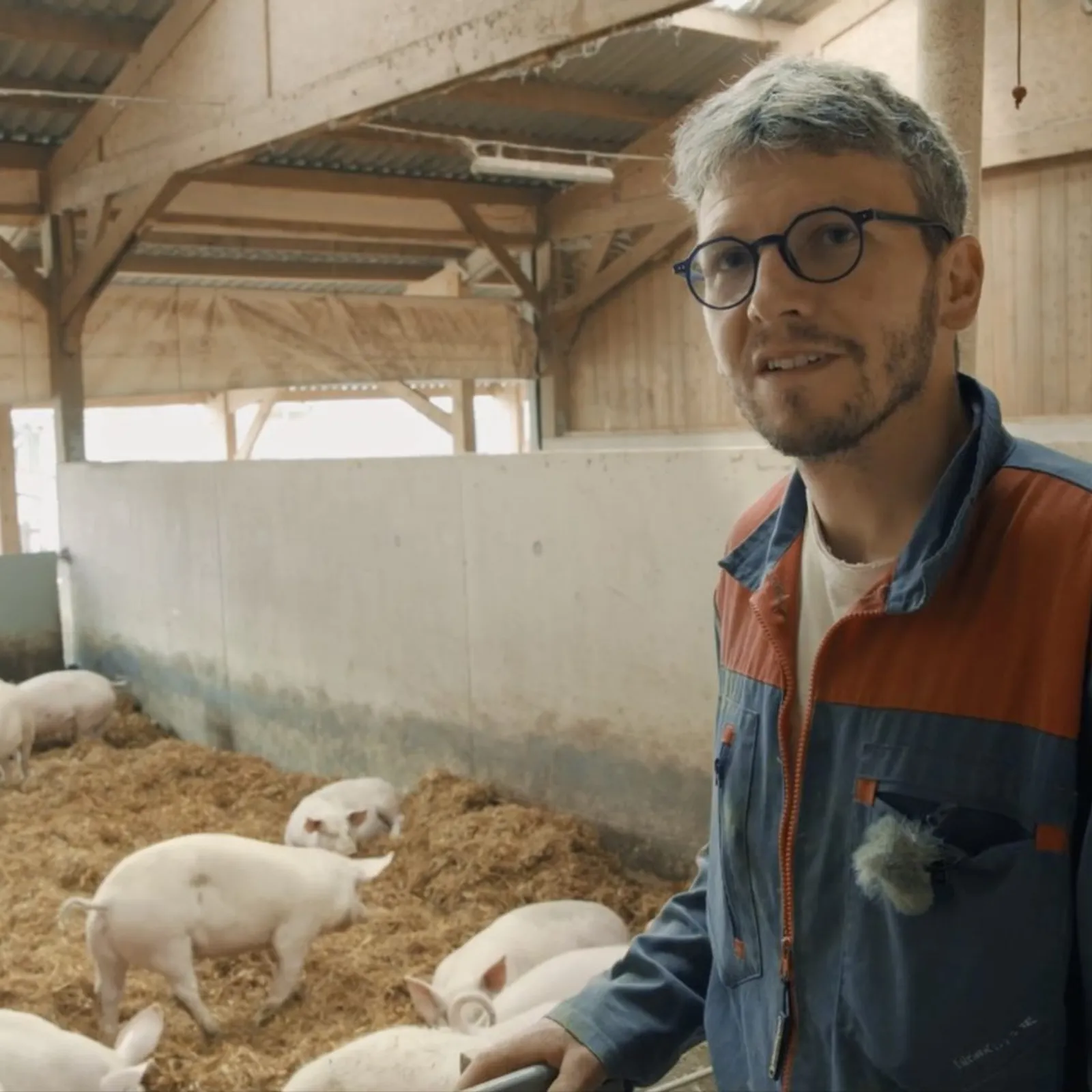 "Sur la paille" le nouveau documentaire d'Eric Guéret tourné à Plouisy chez un producteur de porcs en bio