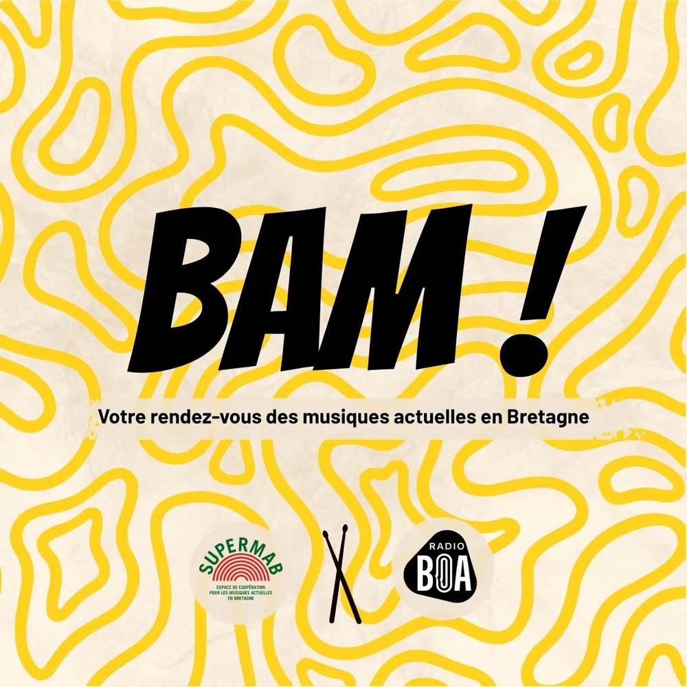 Épisode 12 : L'album, le disque est-il encore indispensable pour faire vivre sa musique ? 