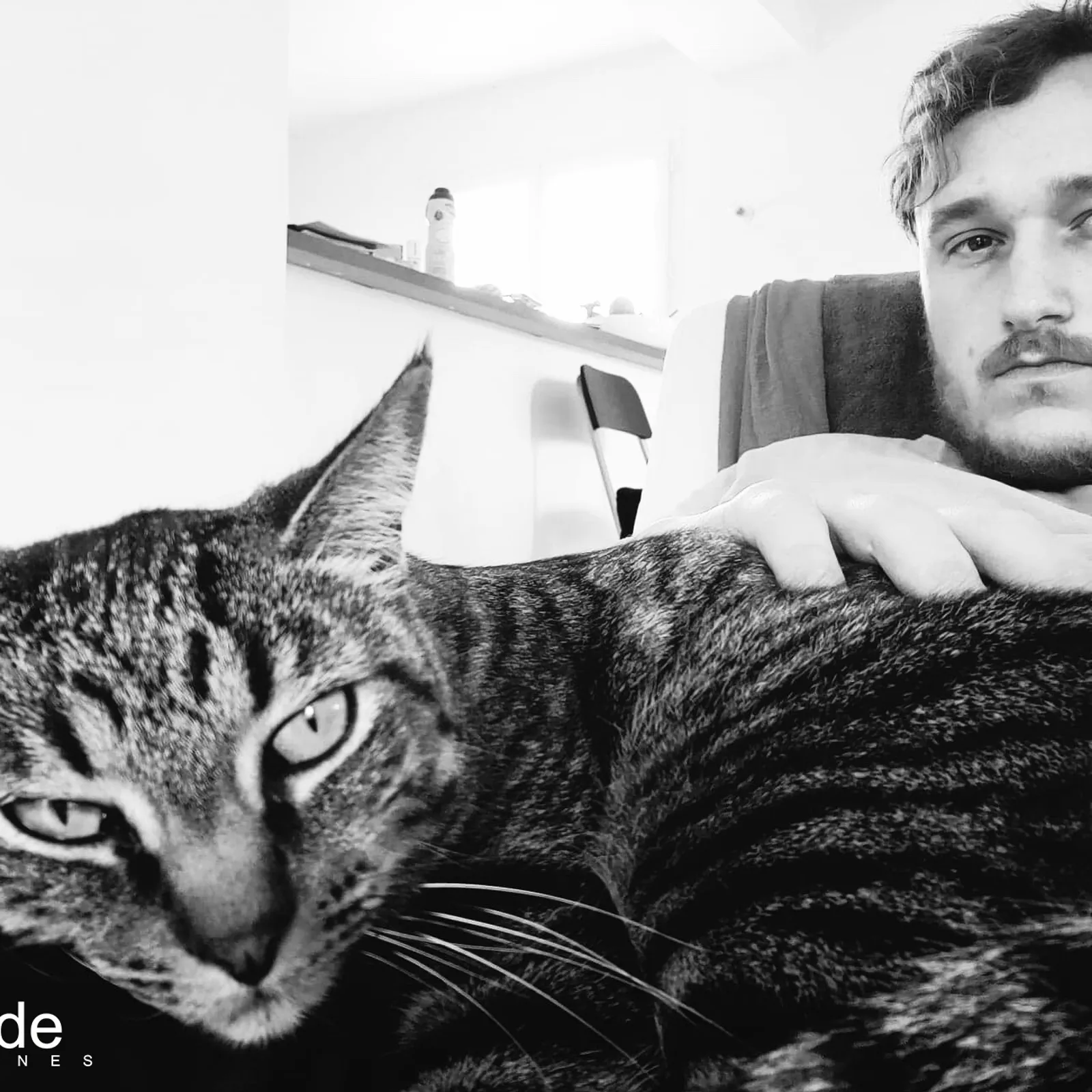 Bside Airlines - Flight#242 - Saübr #assobside