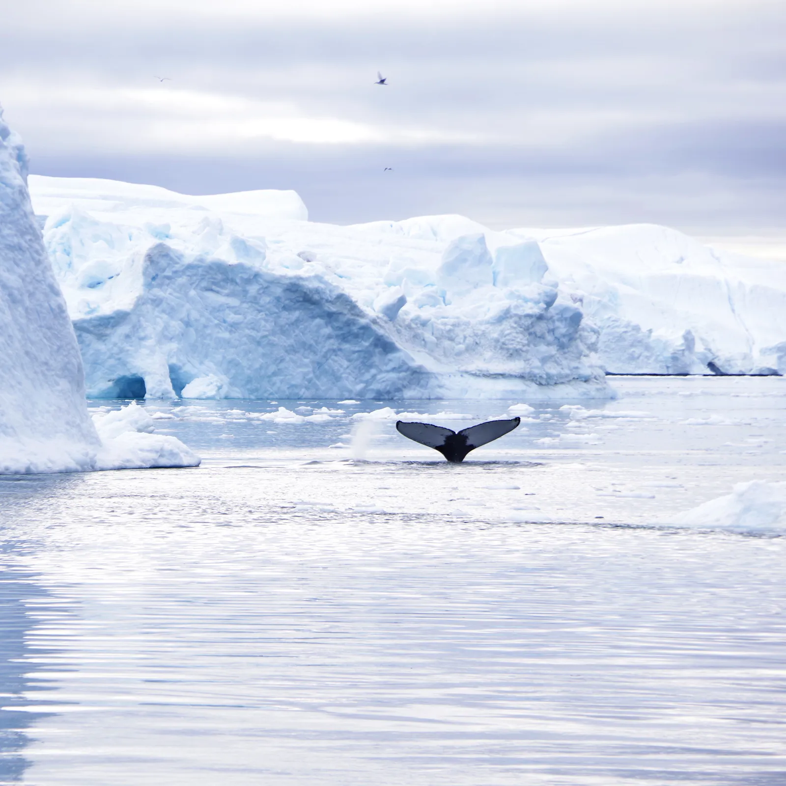 In Cité #10 - 7 Juin 2025