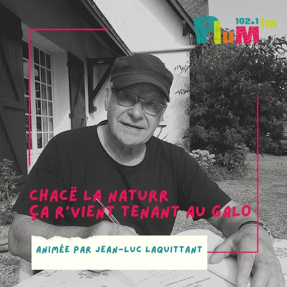 Chassez le naturel, il revient toujours au gallo #5