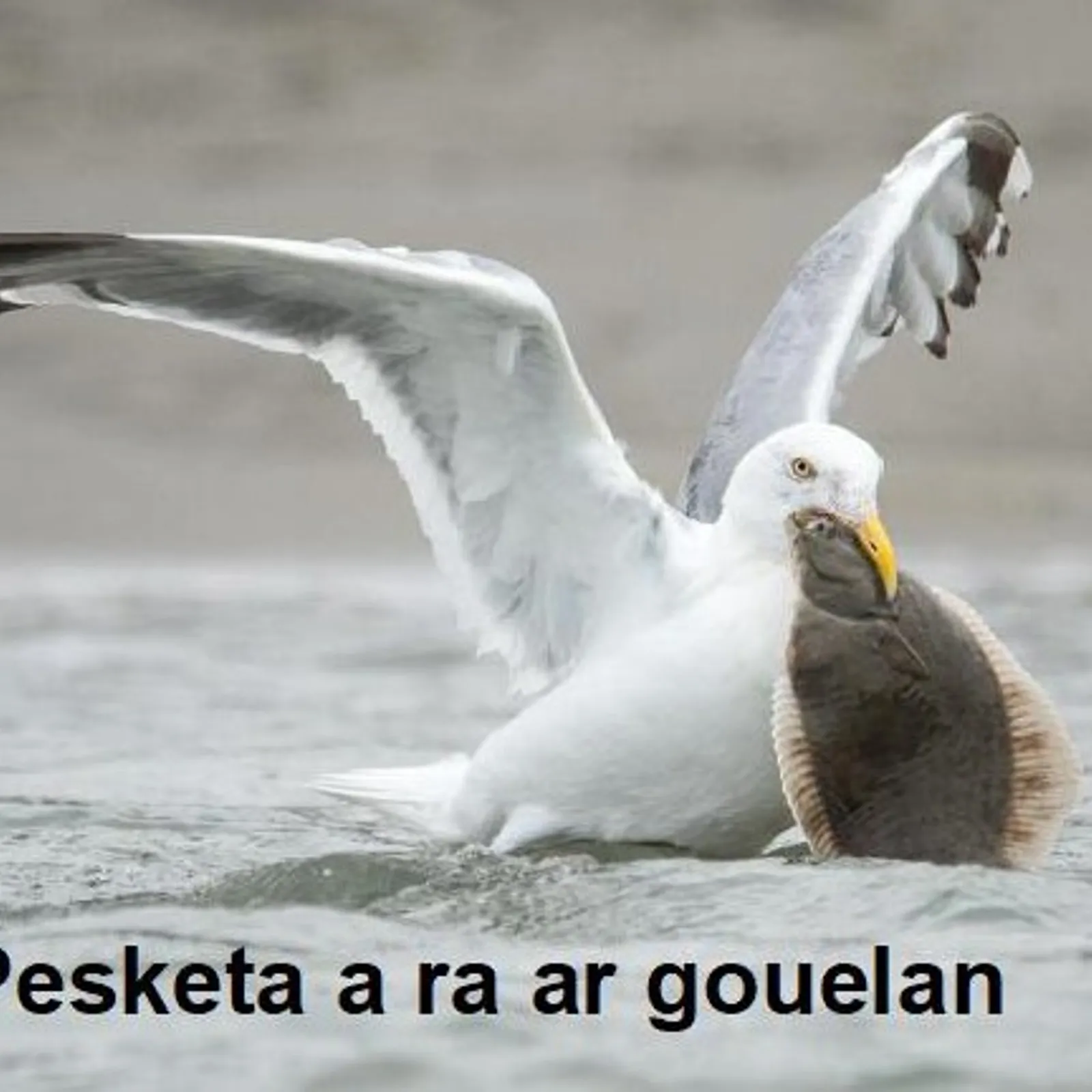 Cours n°191