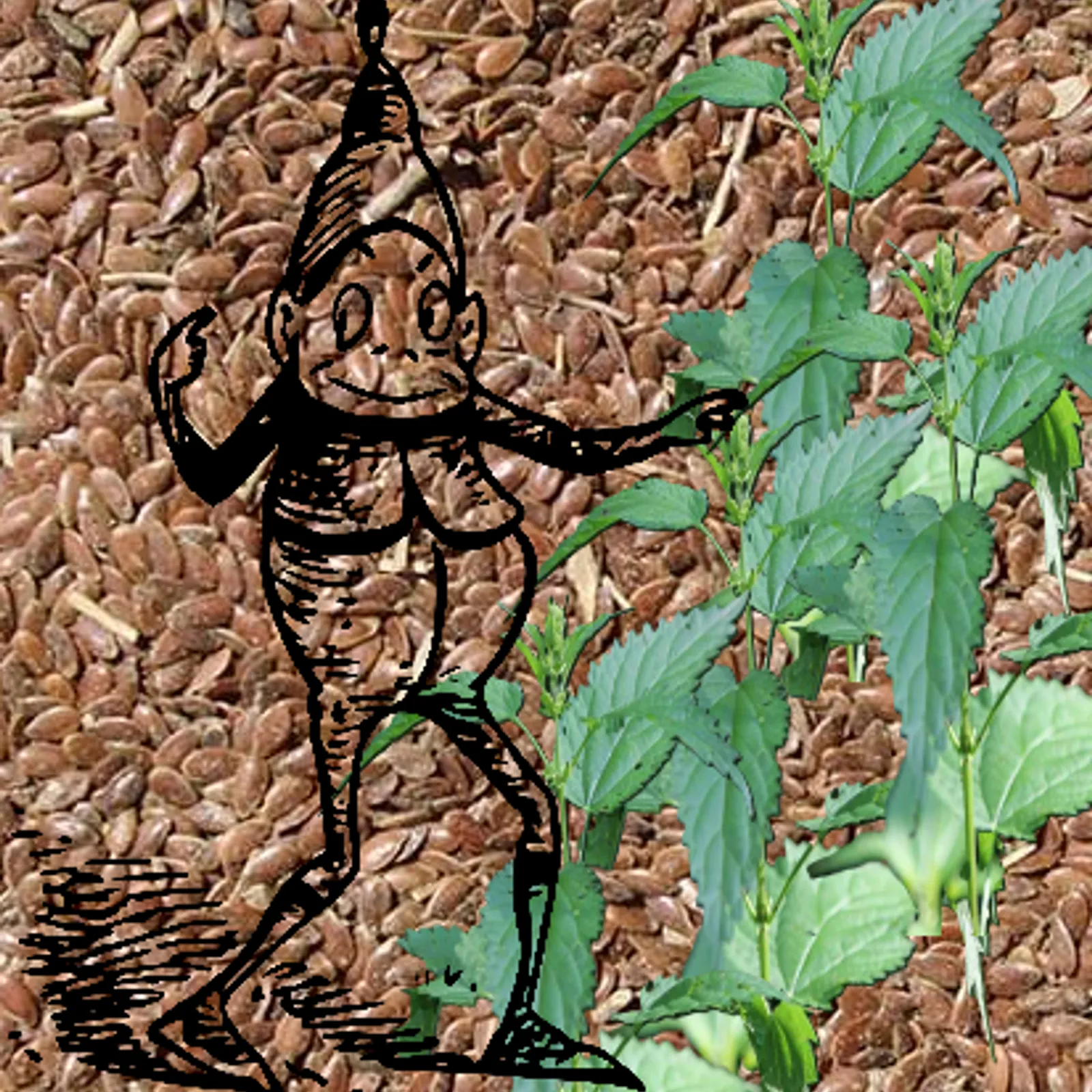 Marie Salaun II : Louzeier, diskonterien hag istorioù ar vro