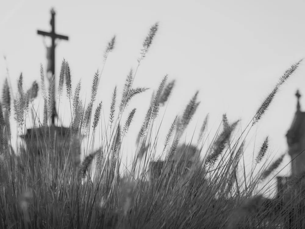 Toussaint, Fête des Morts et les défunts