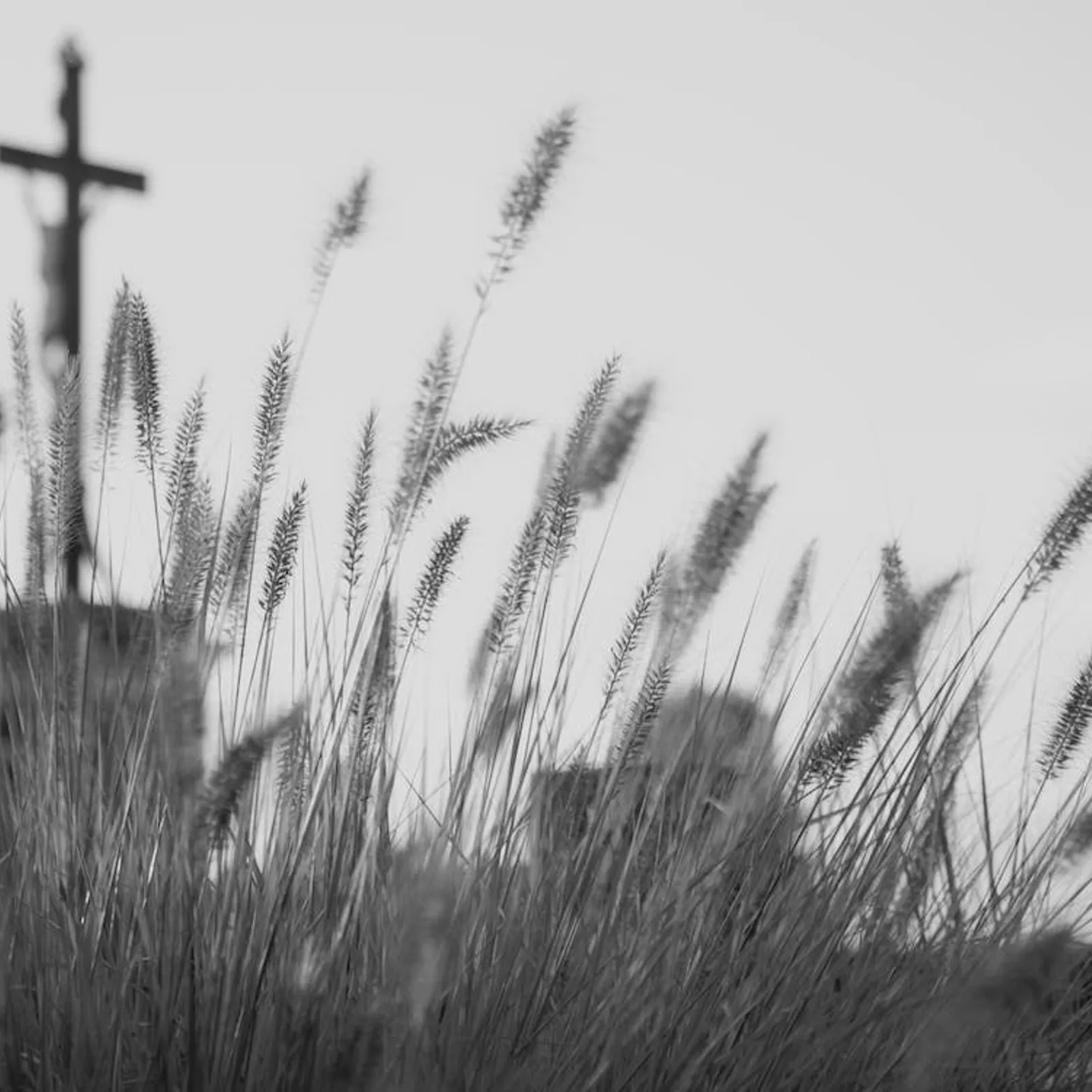 Toussaint, Fête des Morts et les défunts