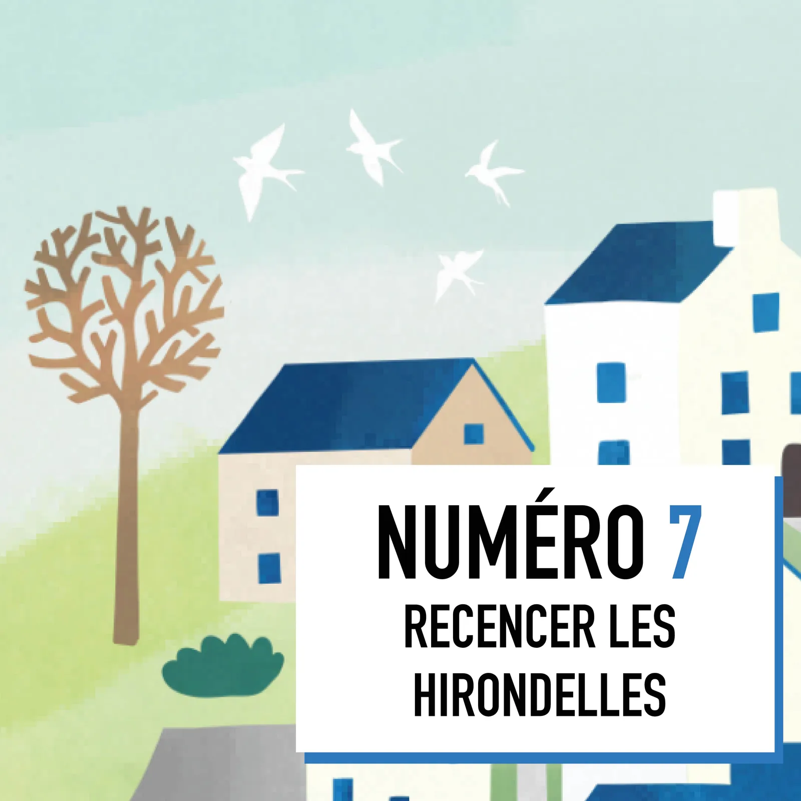 07-Le recencement des hirondelles 