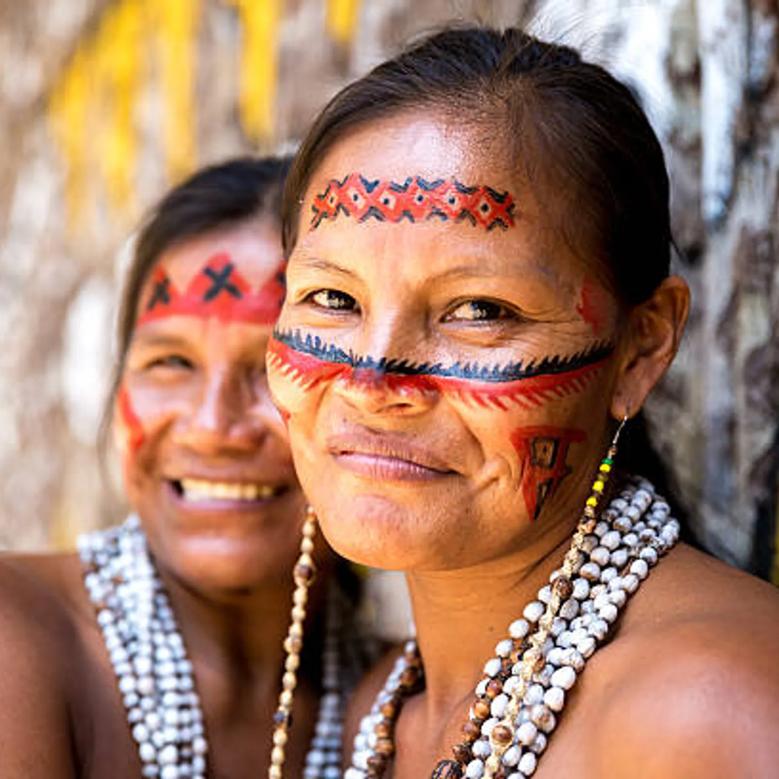 Les Amérindiens du Brésil