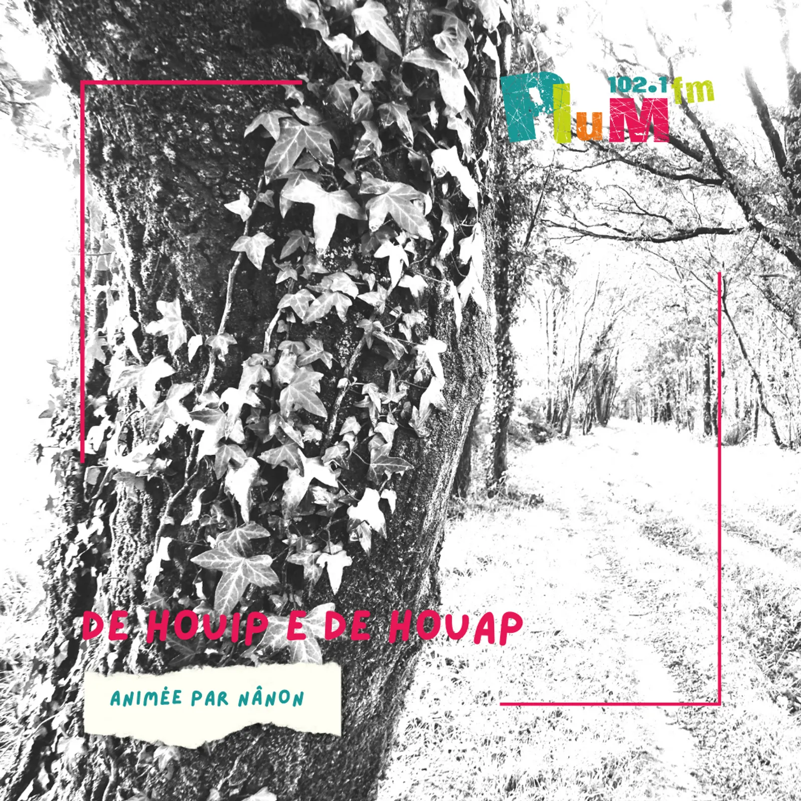 De houip e de houap : Touéne Aguesse