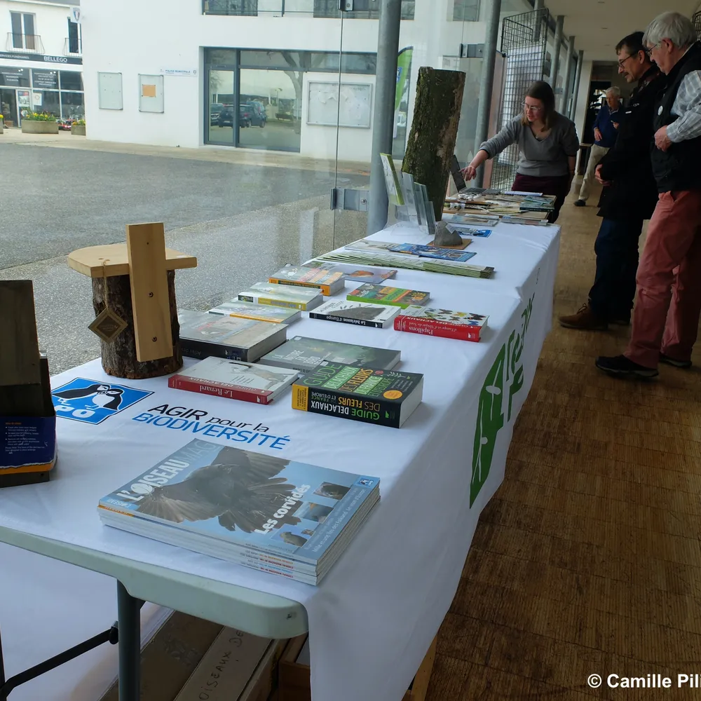 L’ABC de Pluvigner, une journée pour la biodiversité
