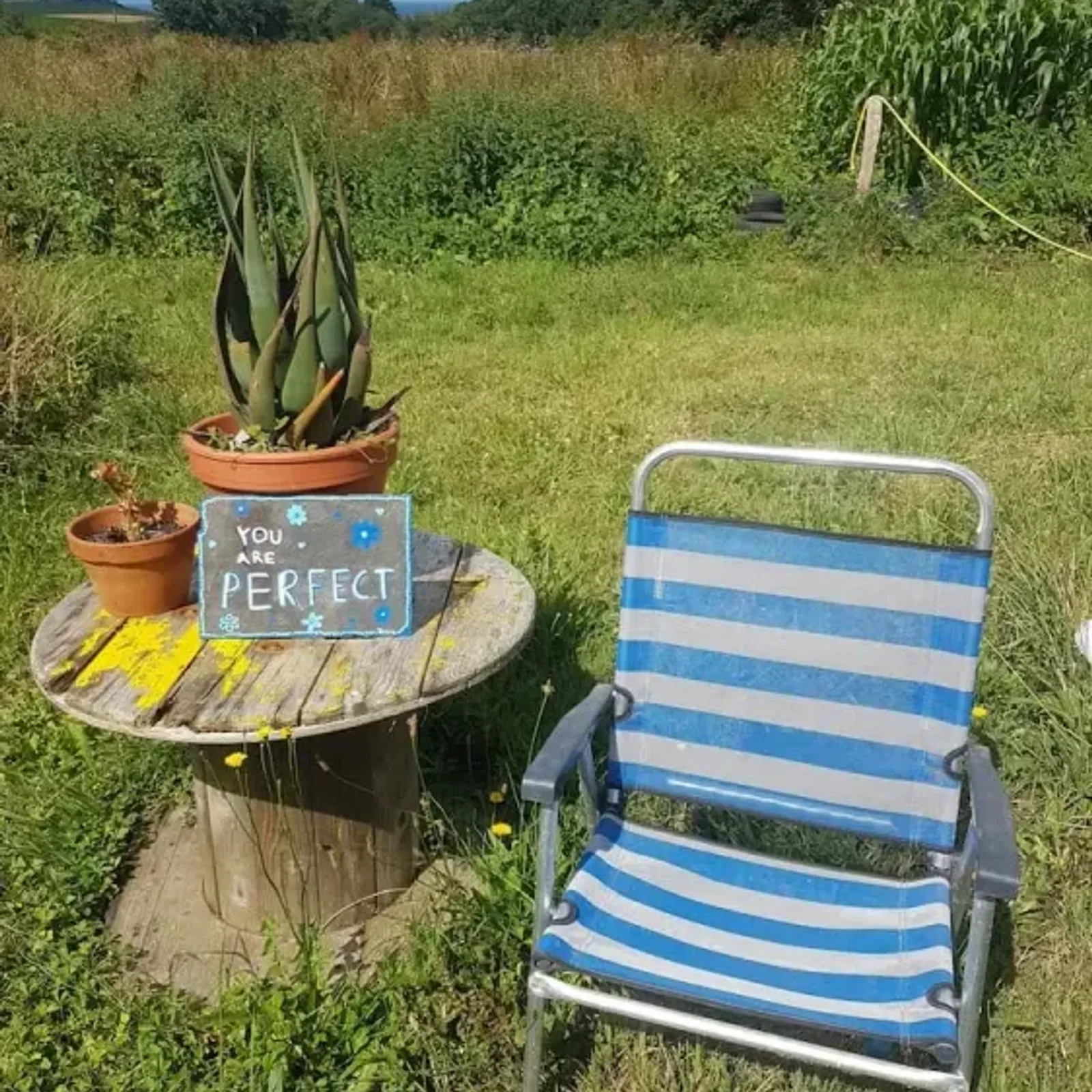 A l'île au vent, on tisse des liens avec la nature et entre les humains