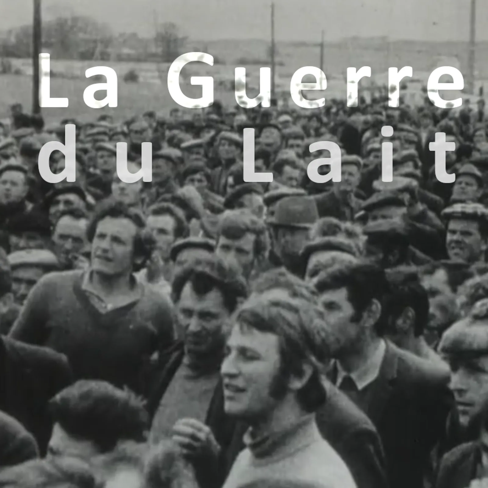 Georges & Hélène Dauphin, La Guerre du Lait