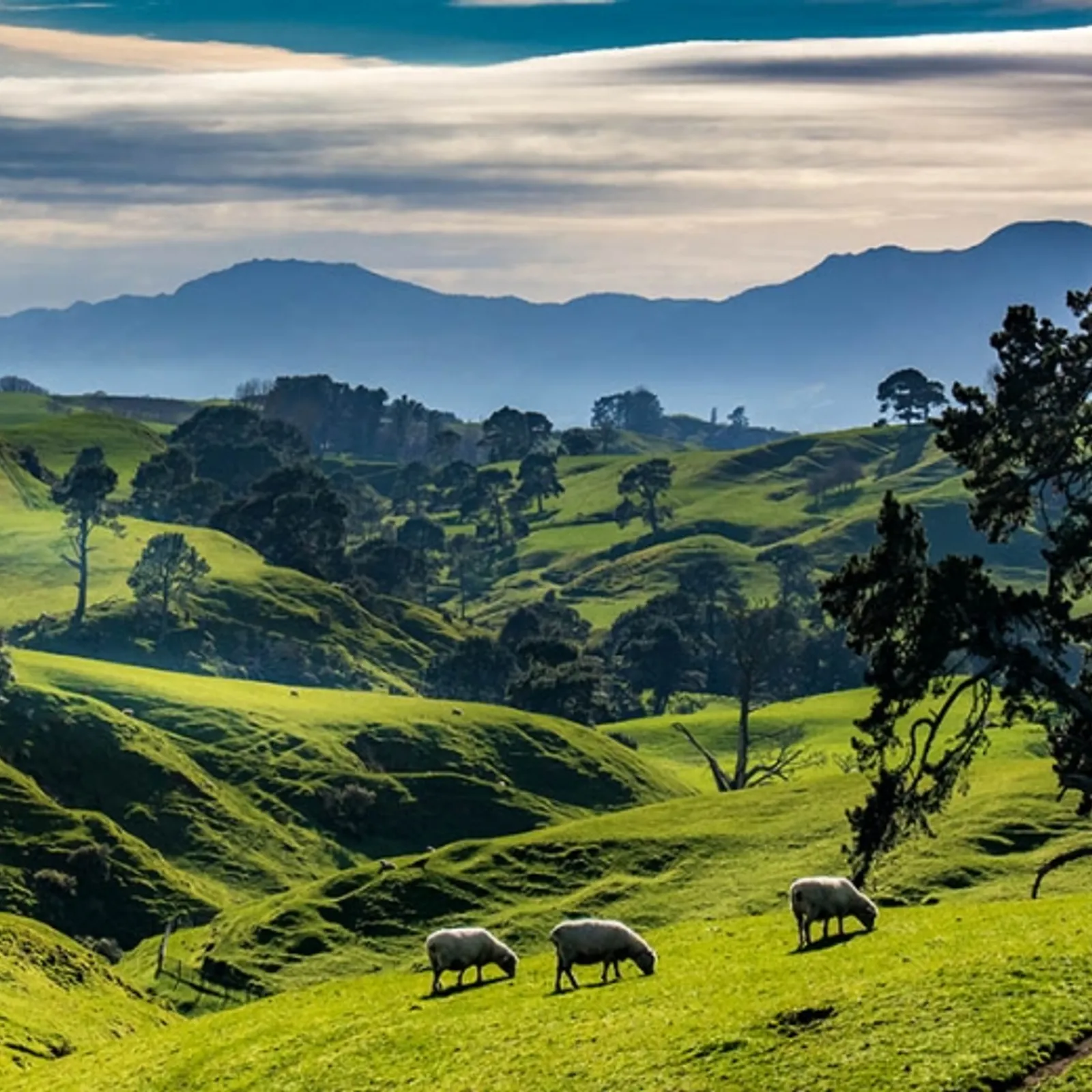 Portrait de Soizic, un voyage à l'autre bout du monde