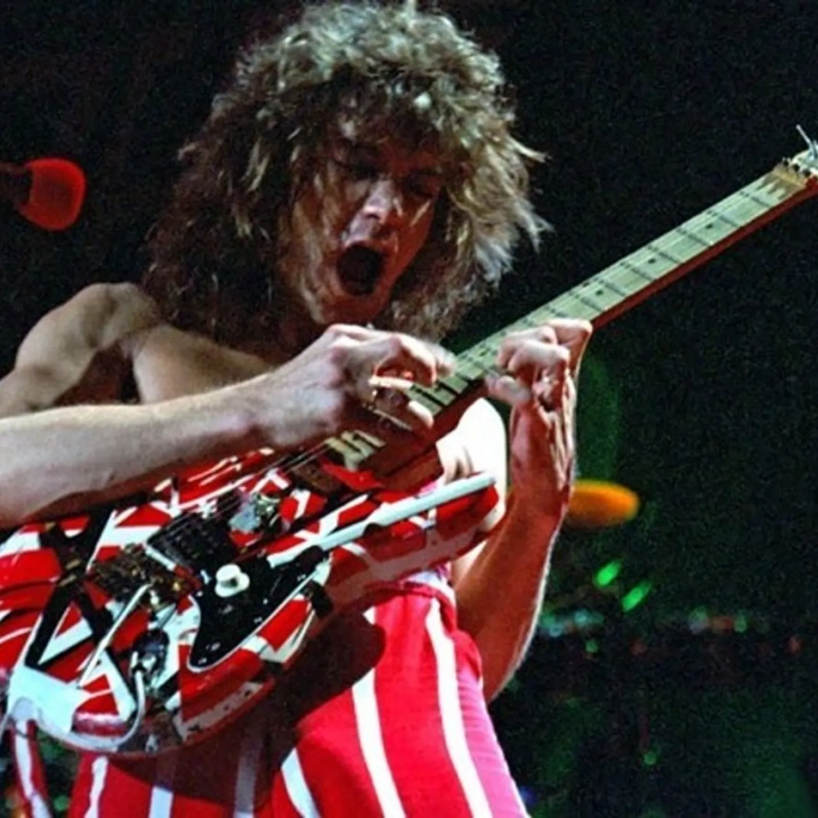 DIR HA TAN 74 "R.I.P  Eddie Van Halen"