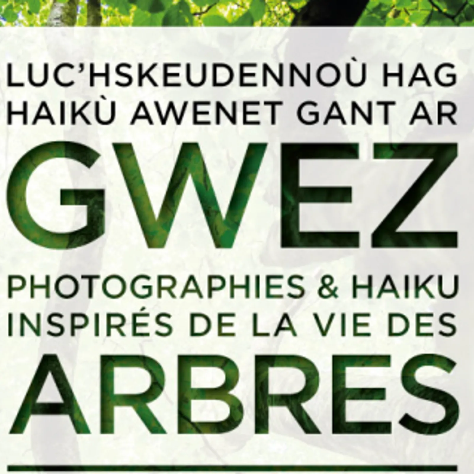 C'hwezh an deiz 25/04/2023