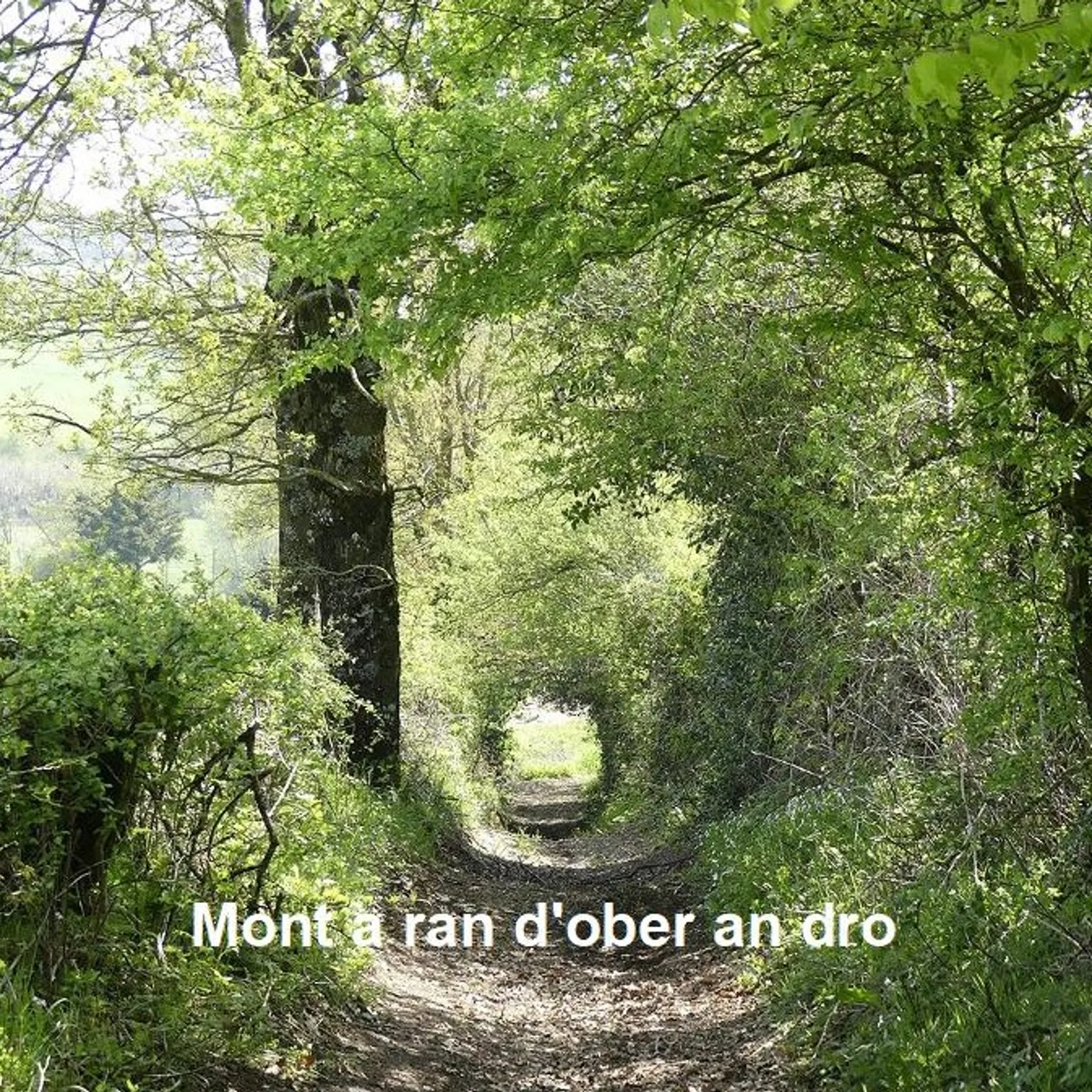 Cours n°171