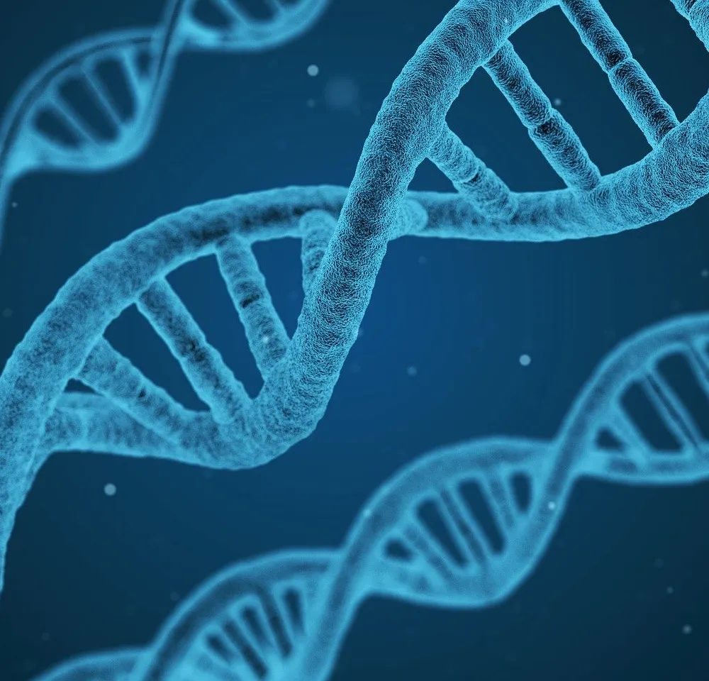 Le Lab U # 12 La médecine prédictive - 1ère Partie