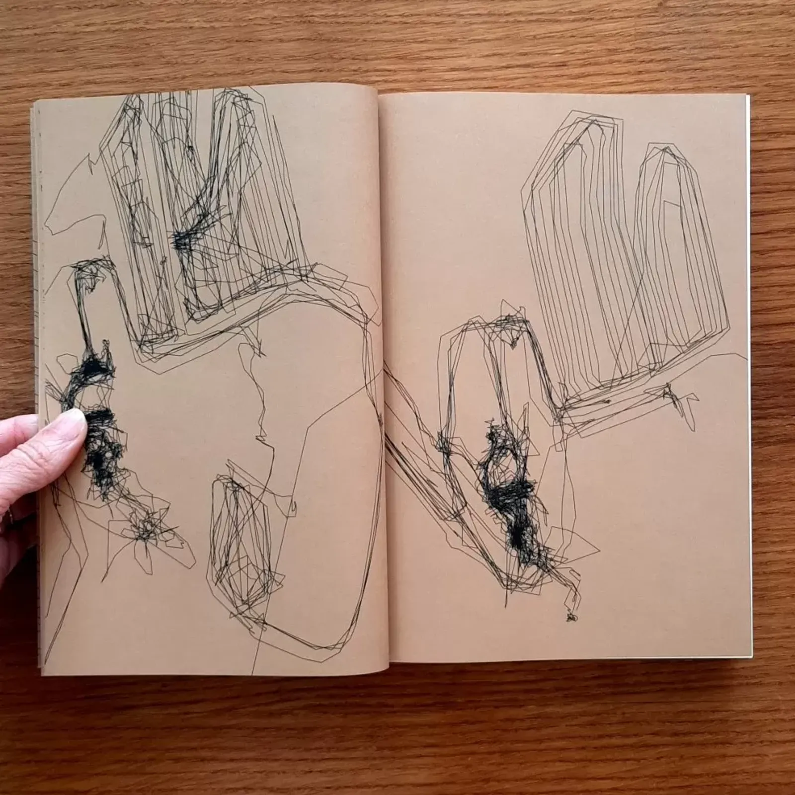 L'agriculture comme écriture rencontre avec Nina Ferrer Gleize, et Aurélie Olivier 