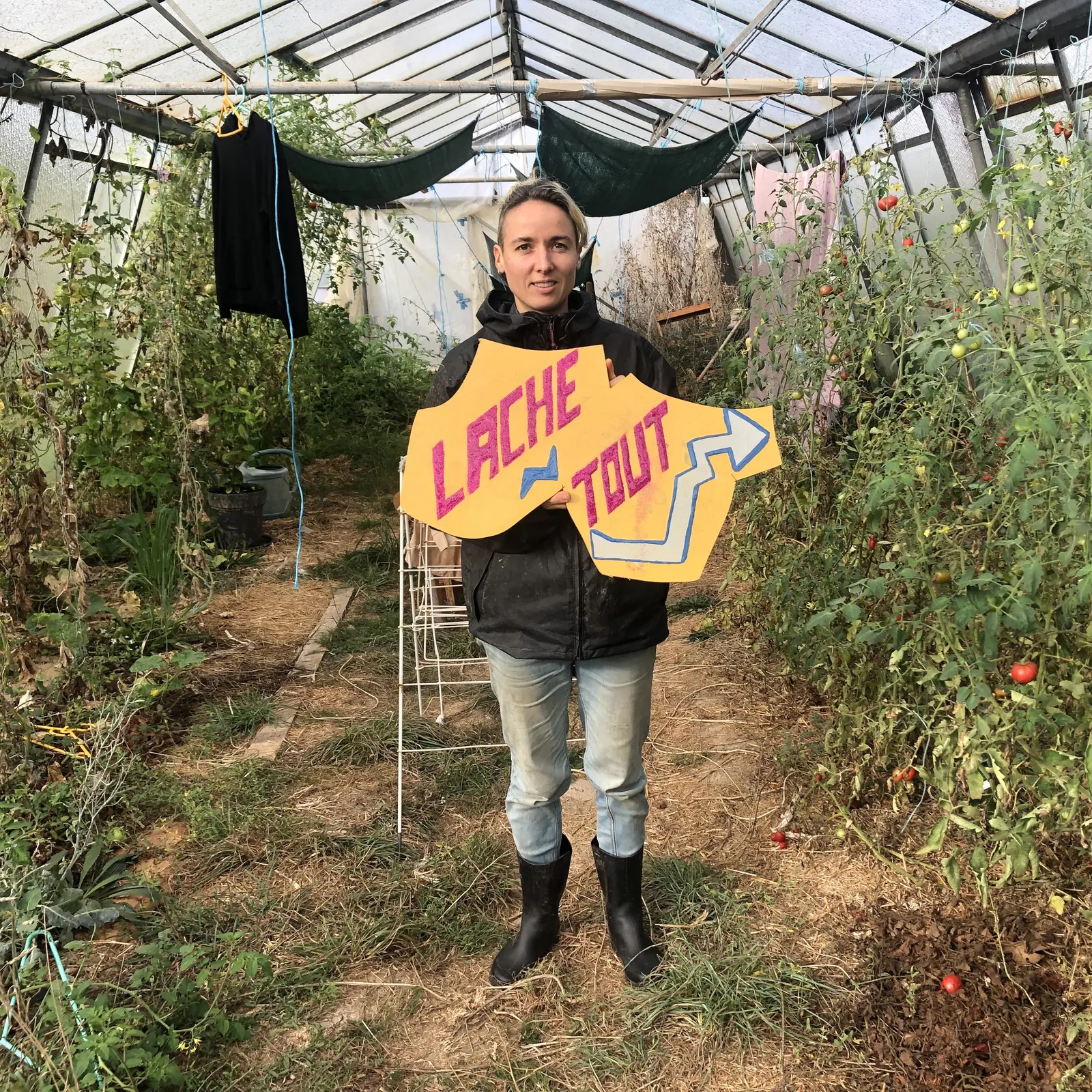 Tarzh an Noz du lundi 6 novembre 2023