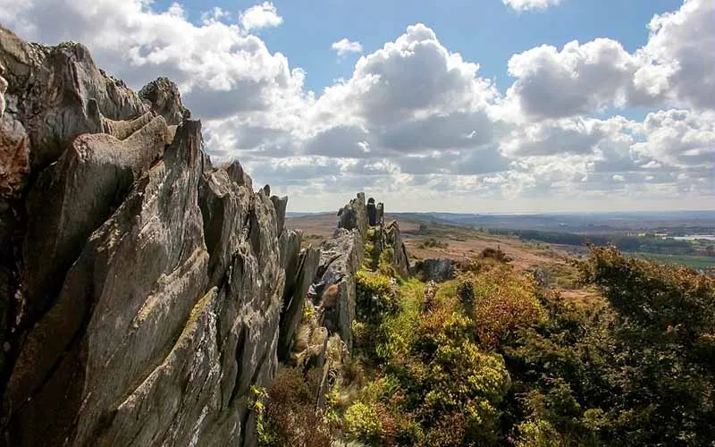 Pesa mod 've lâr't ?