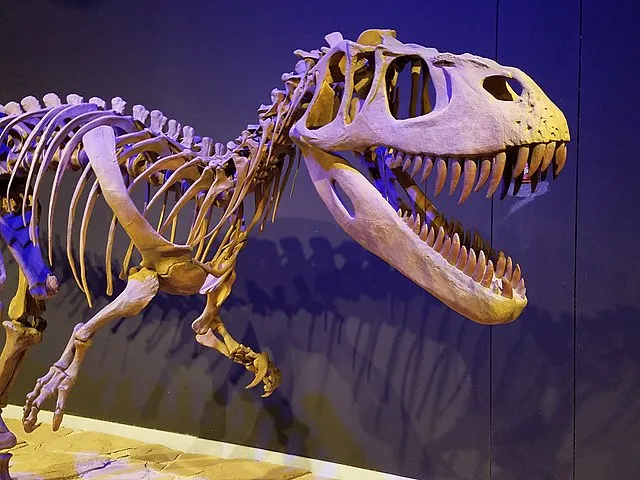 Le Torvosaurus