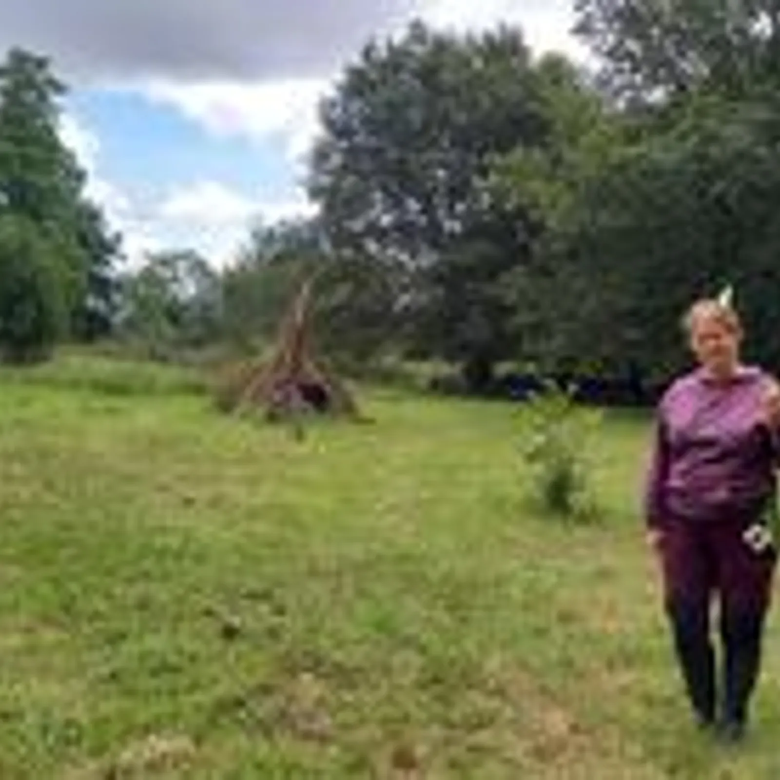 Une forest school adaptée aux handicaps