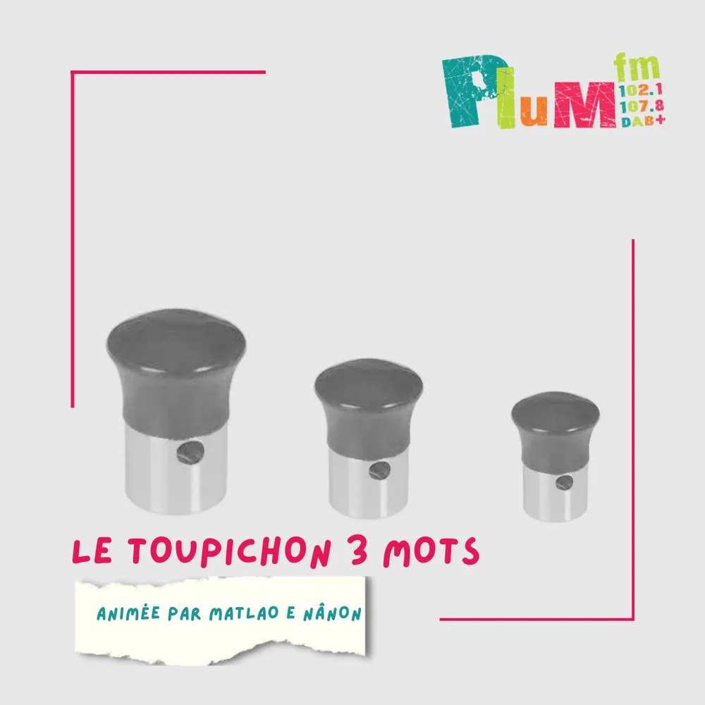 Le Toupichon-3 mots #gallo