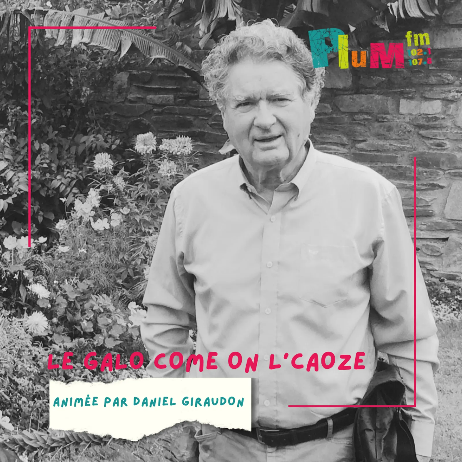 Le galo come on l'caoze #gallo