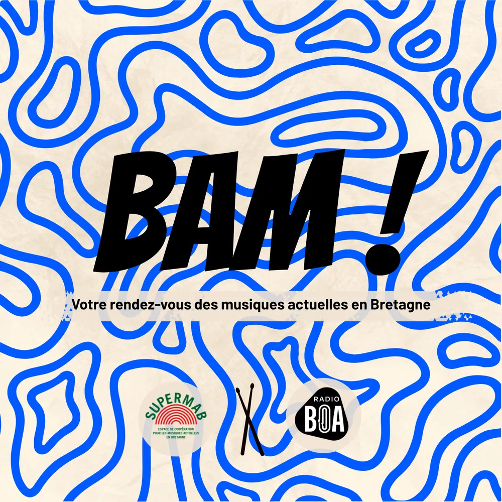 Episode 8 - Municipales : quels enjeux pour les musiques actuelles ? 