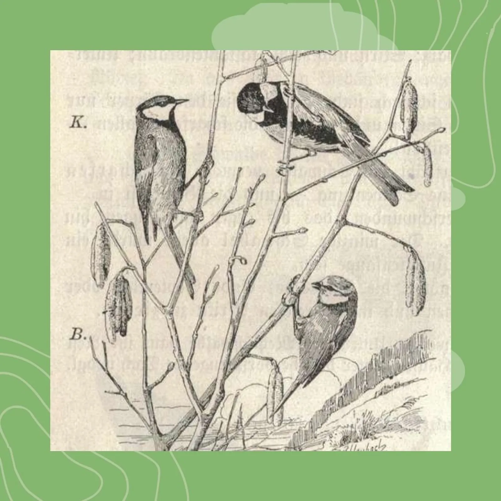 7- Diforc'hañ ar pennglaou eus lod golvaneged all