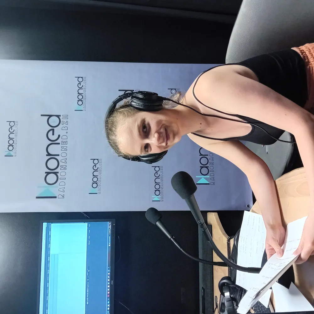 SAE au micro - L'édition en Haute-Bretagne