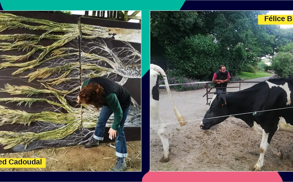 Champs d'expression : Quand l'art s'invite dans les fermes