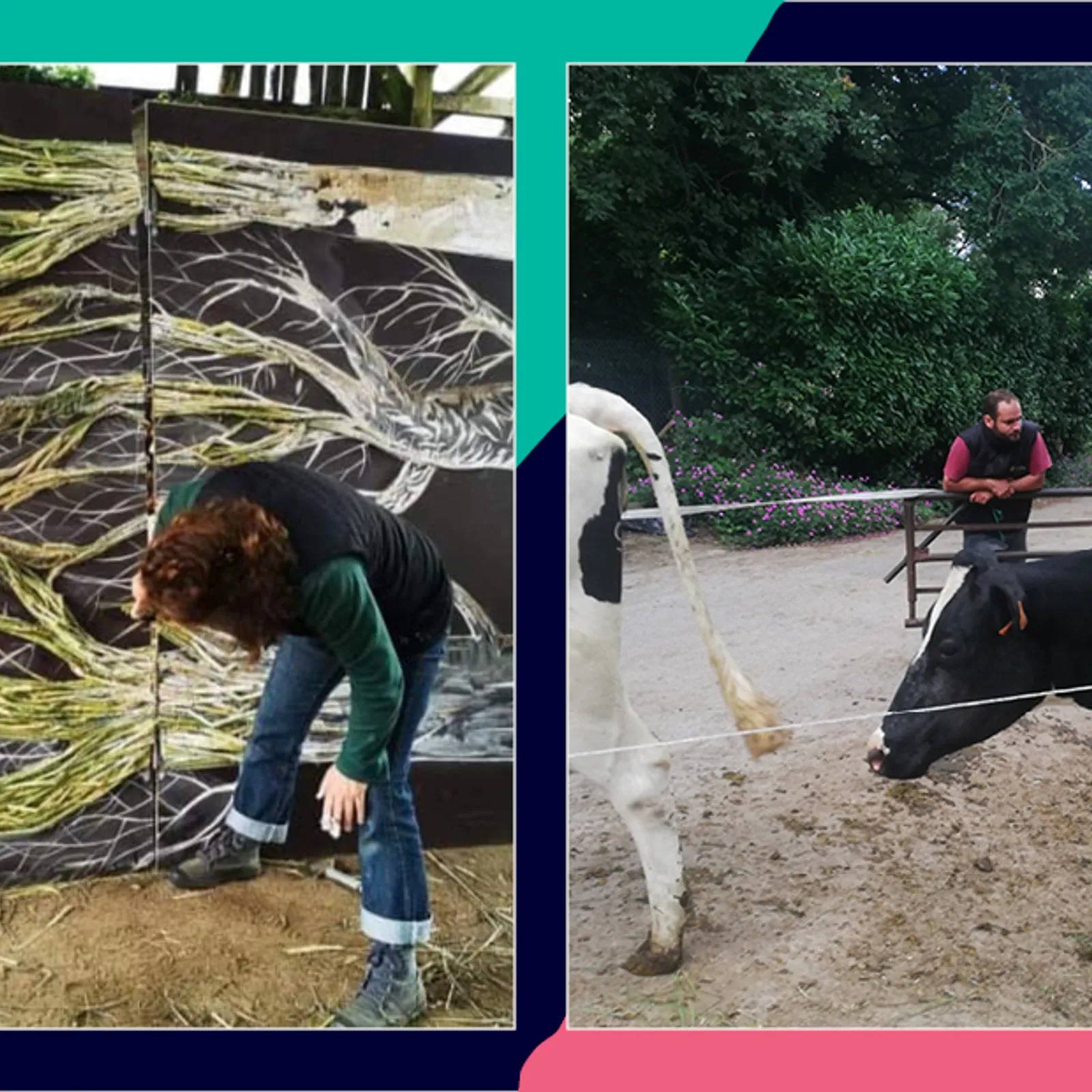 Champs d'expression : Quand l'art s'invite dans les fermes