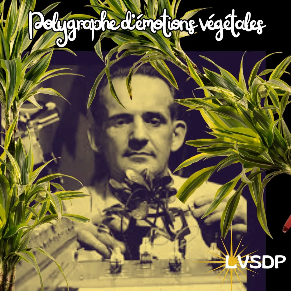 Dans la vie secrète des plantes #02  // Polygraphe d'émotions végétales //