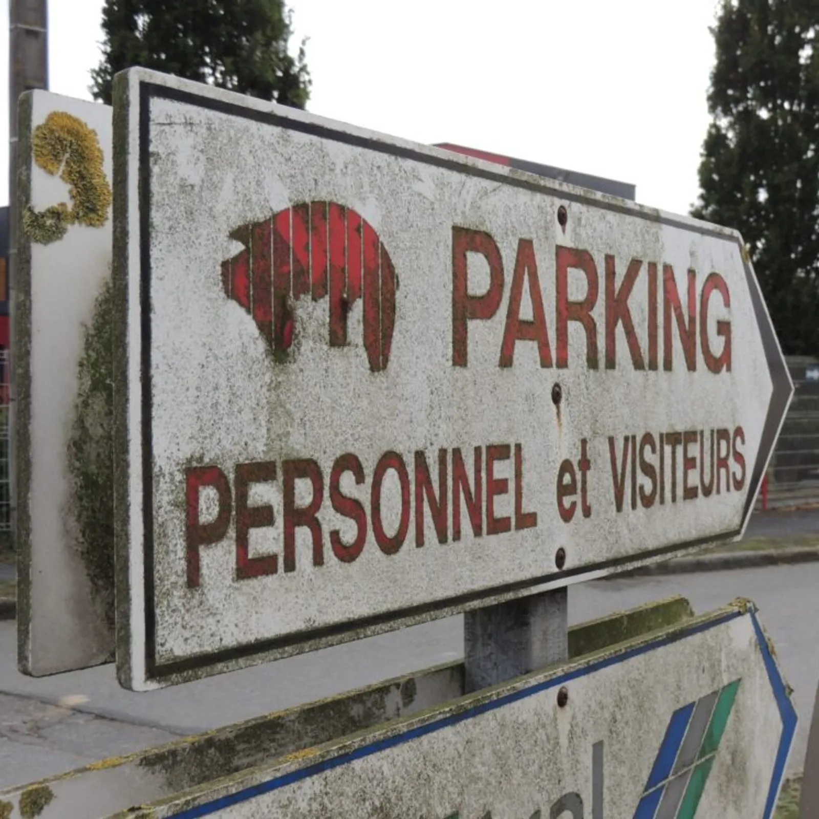 Cooperl : enklask nevez Splann er c'hooperativ sevel moc'h