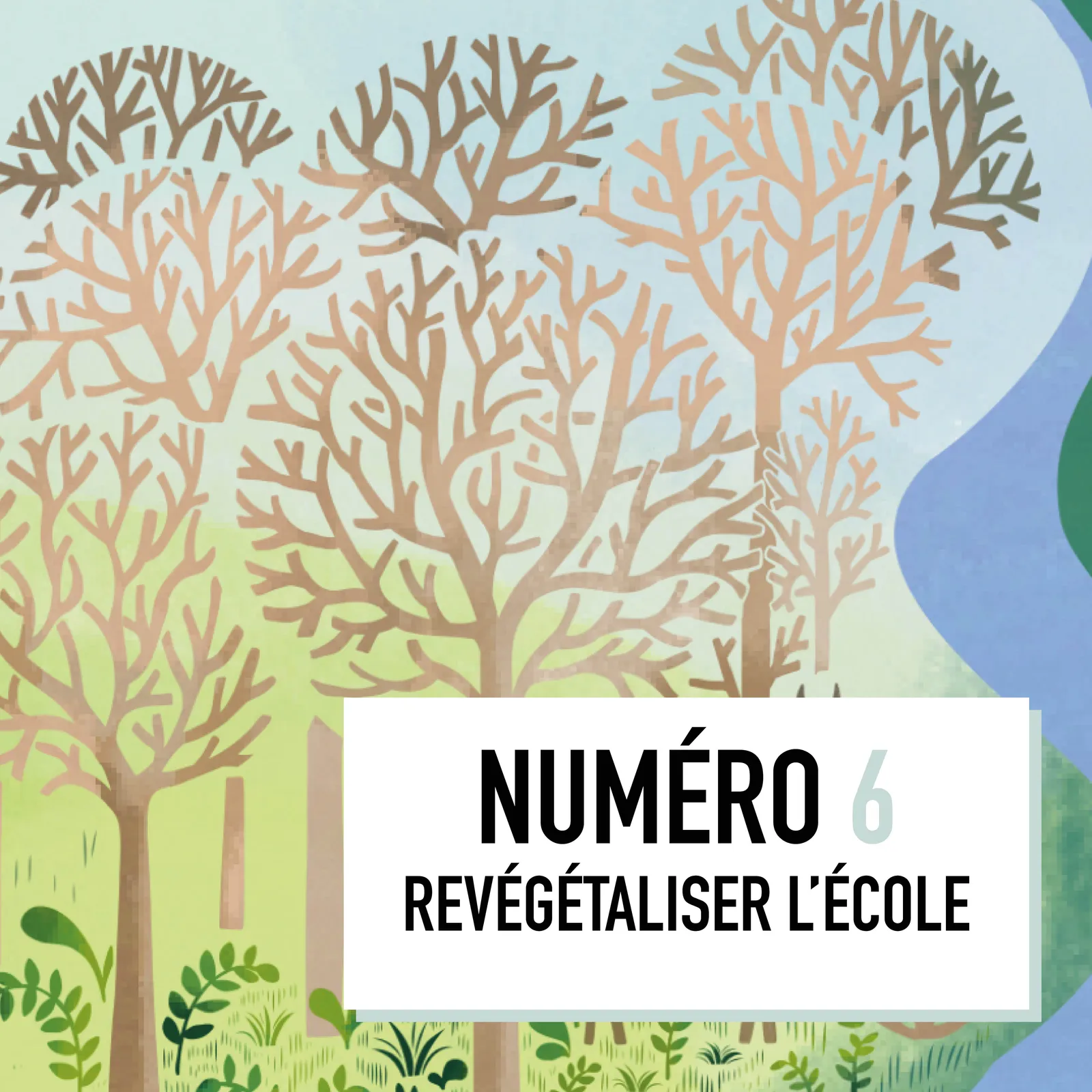 06-Revégétalisation des écoles 