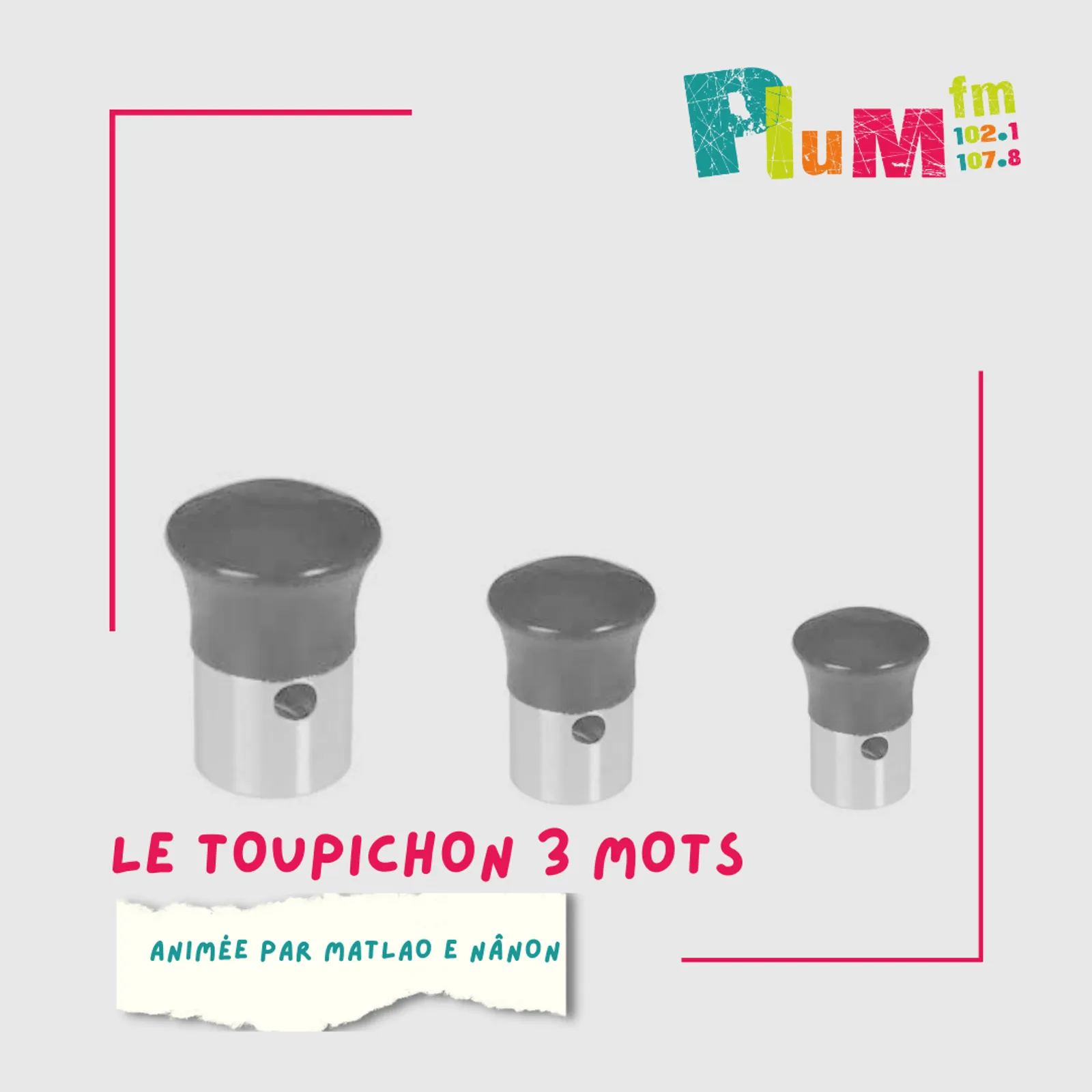 Toupichon 3 mots : Madeleine Bouligand de Saint Ju/ Saint Just(35)