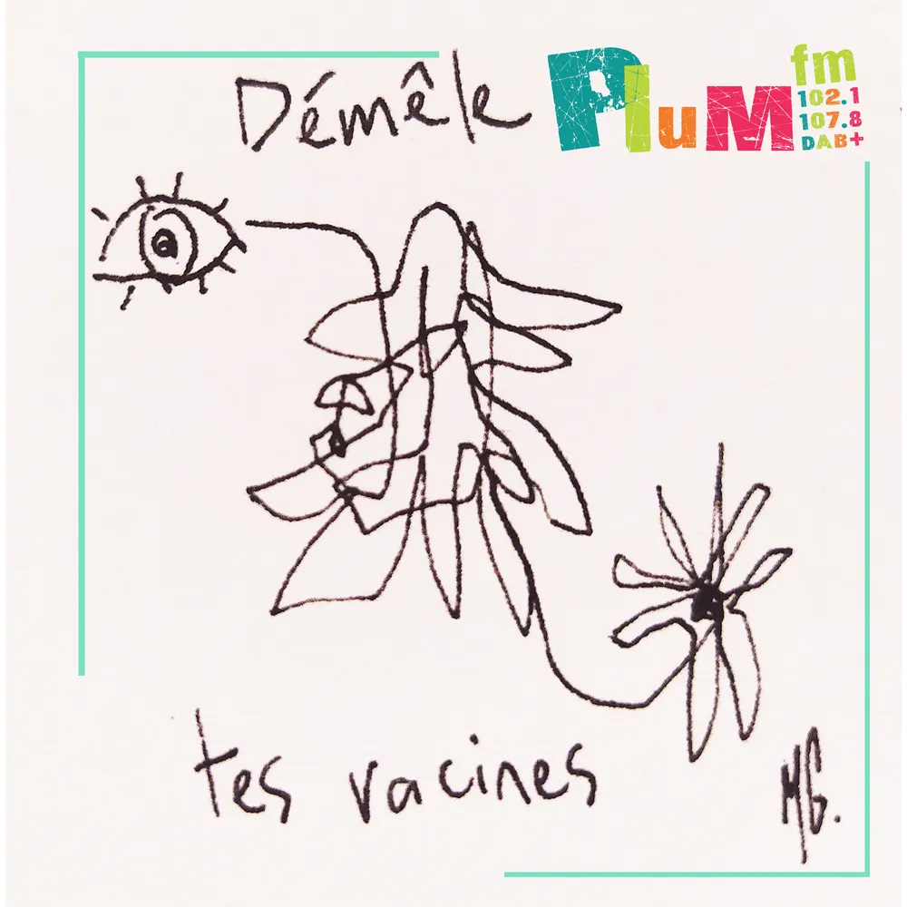 Démêle tes racines