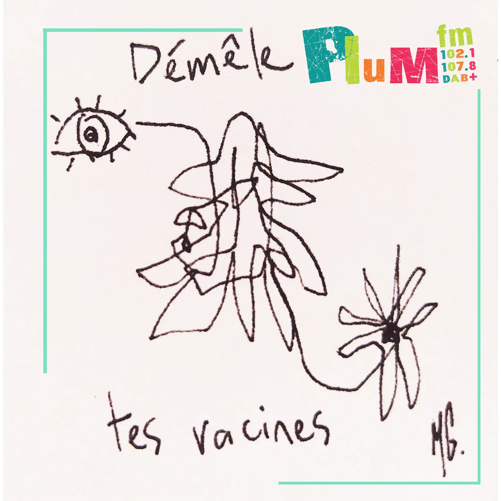 Démêle tes racines