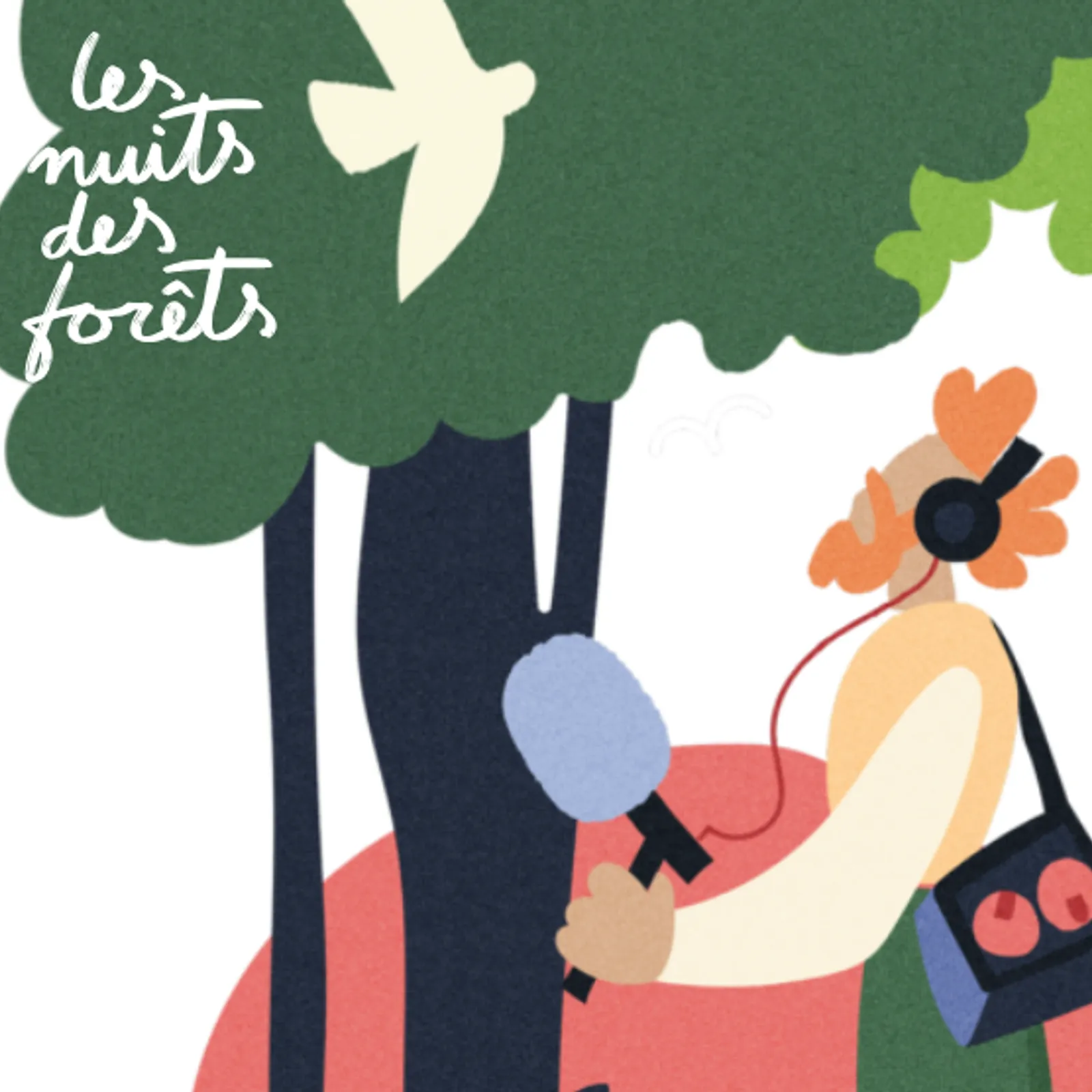 Nuits des forêts, épisode 1