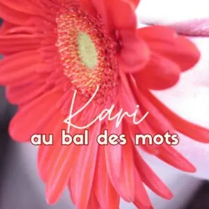 Kari au bal des mots