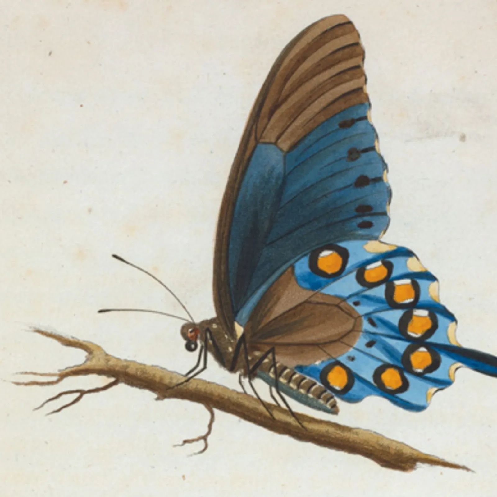 Bandes Organisées #71 : l'album unique - Part III