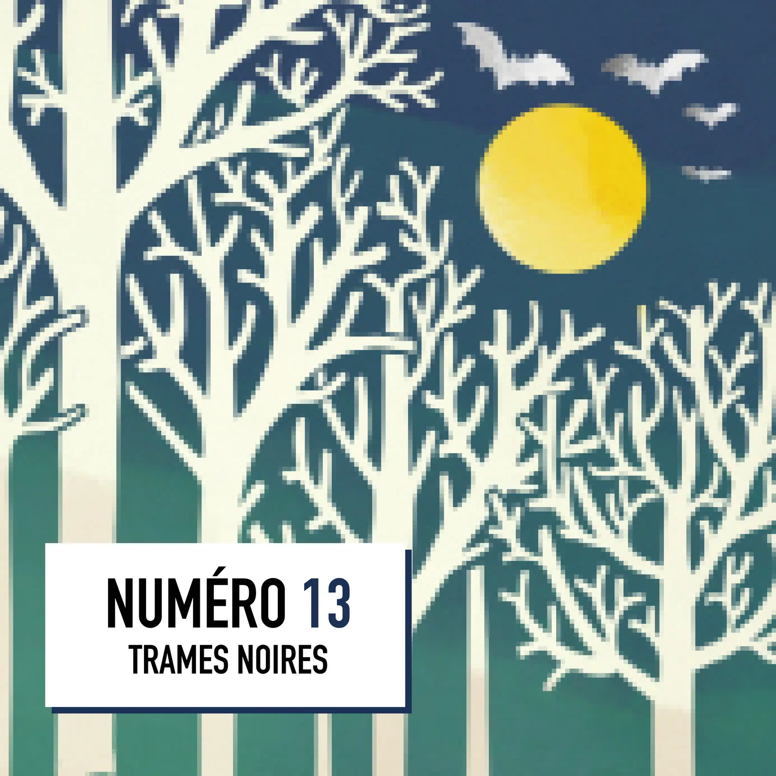 13-Les trames noires 