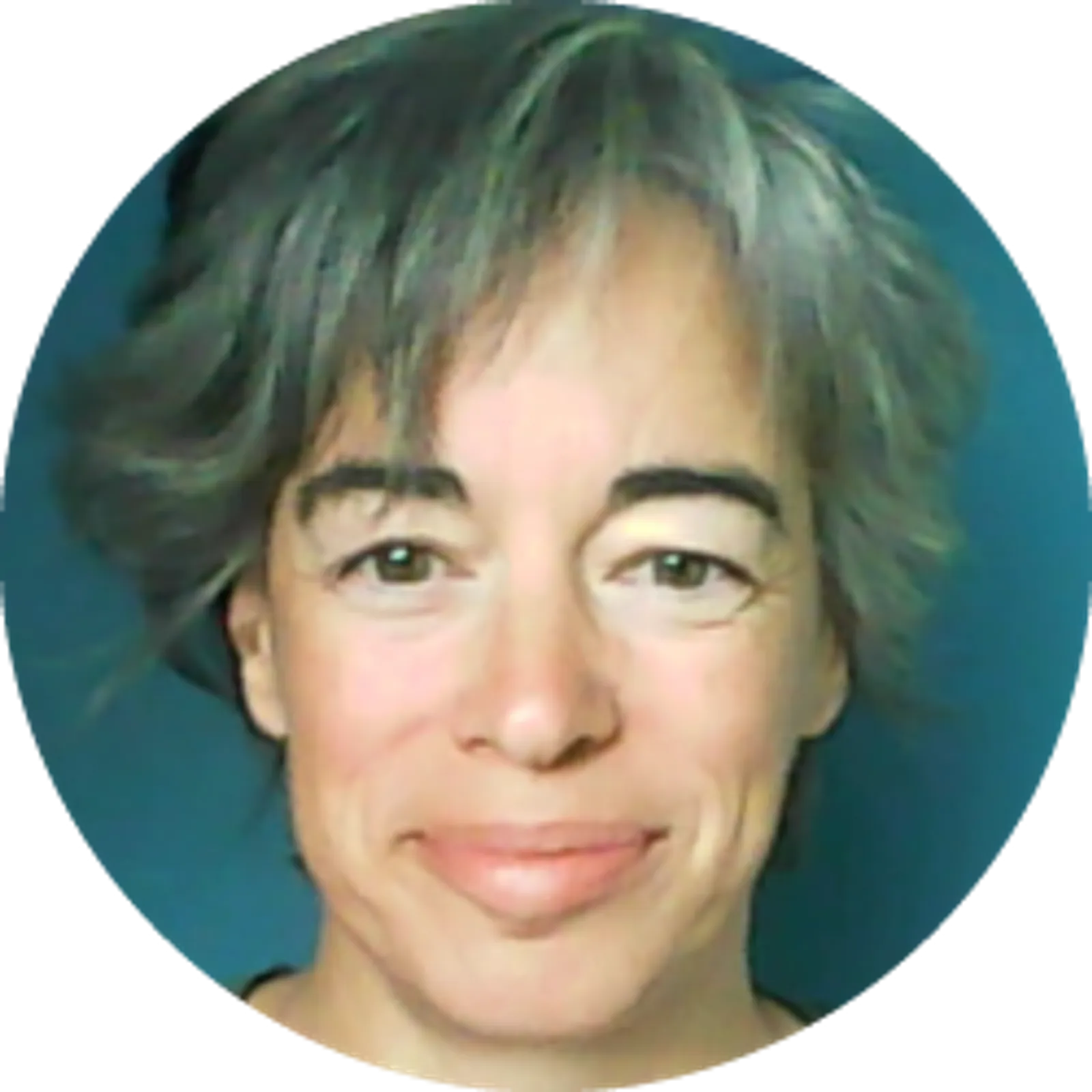 La langue bretonne doit prendre la vague de l'IA selon Mélanie Jouitteau