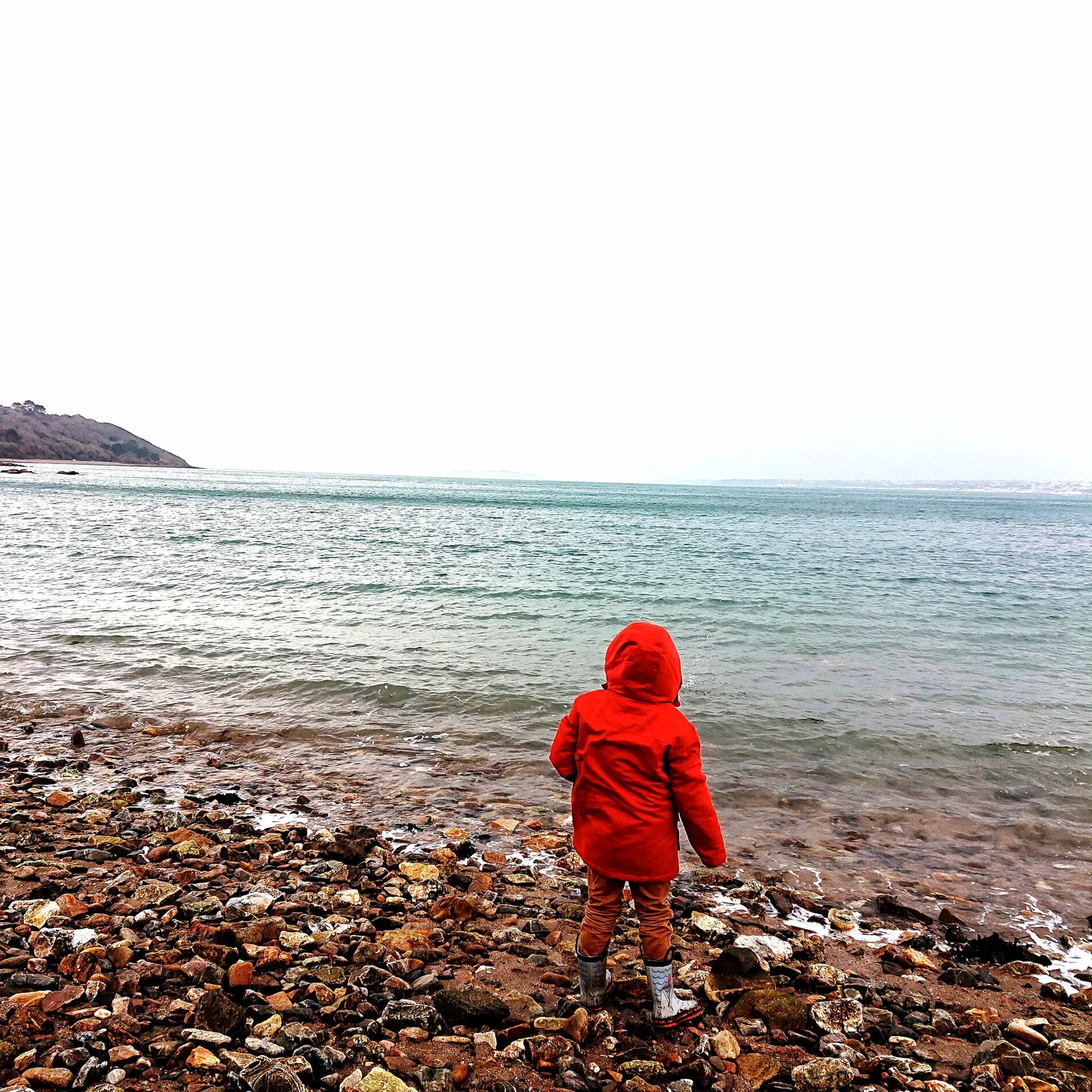 Green Washing #14 Les Aires Marines Educatives