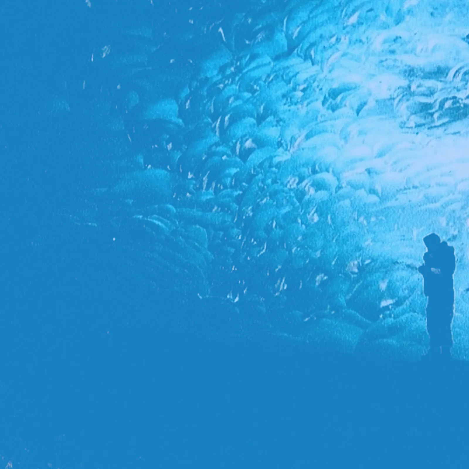 Green Washing #3 Militantismes du climat 