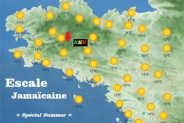 Sunshine Selecta - Juillet 2021