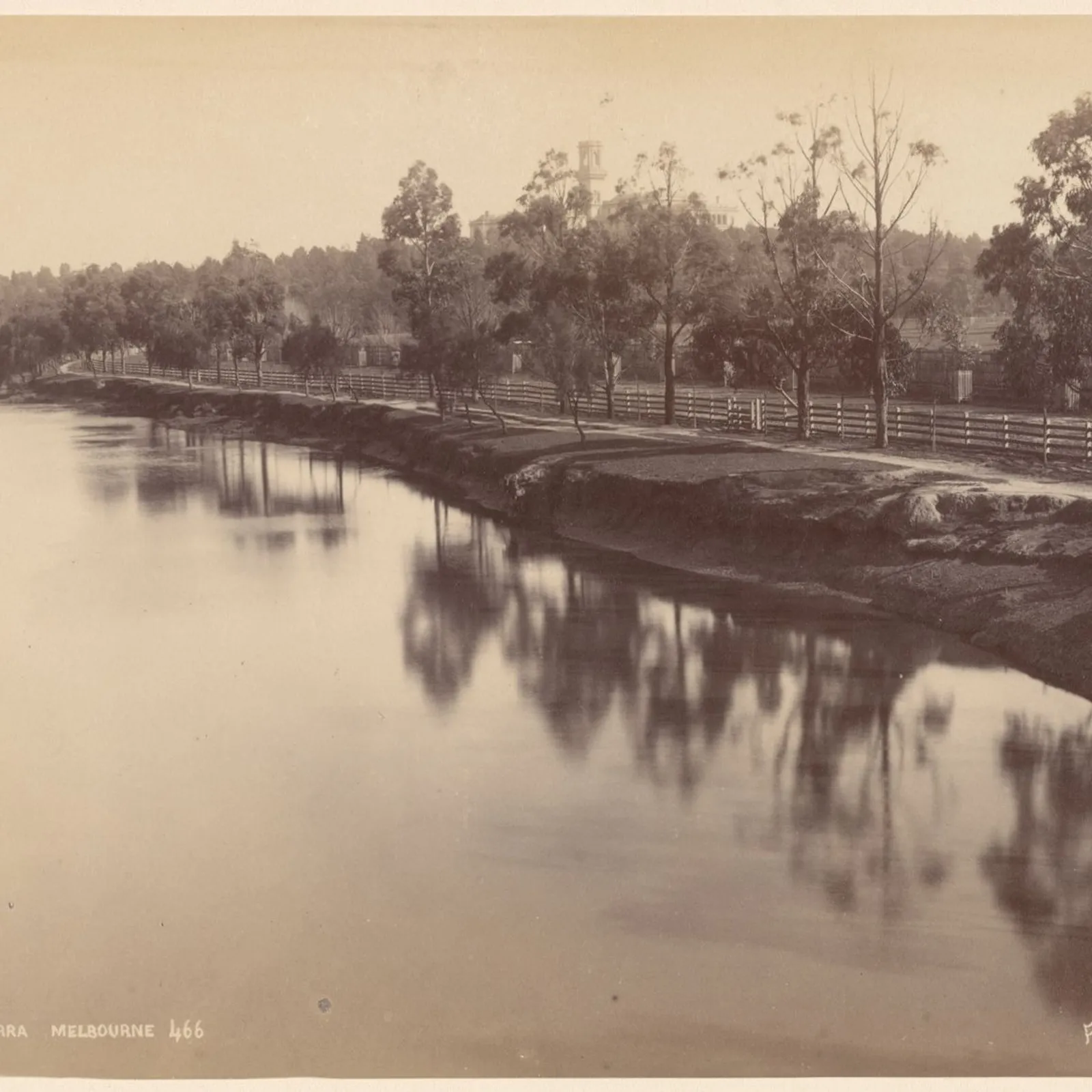 Bandes Organisées #38 : à la découverte des iles - part. 2