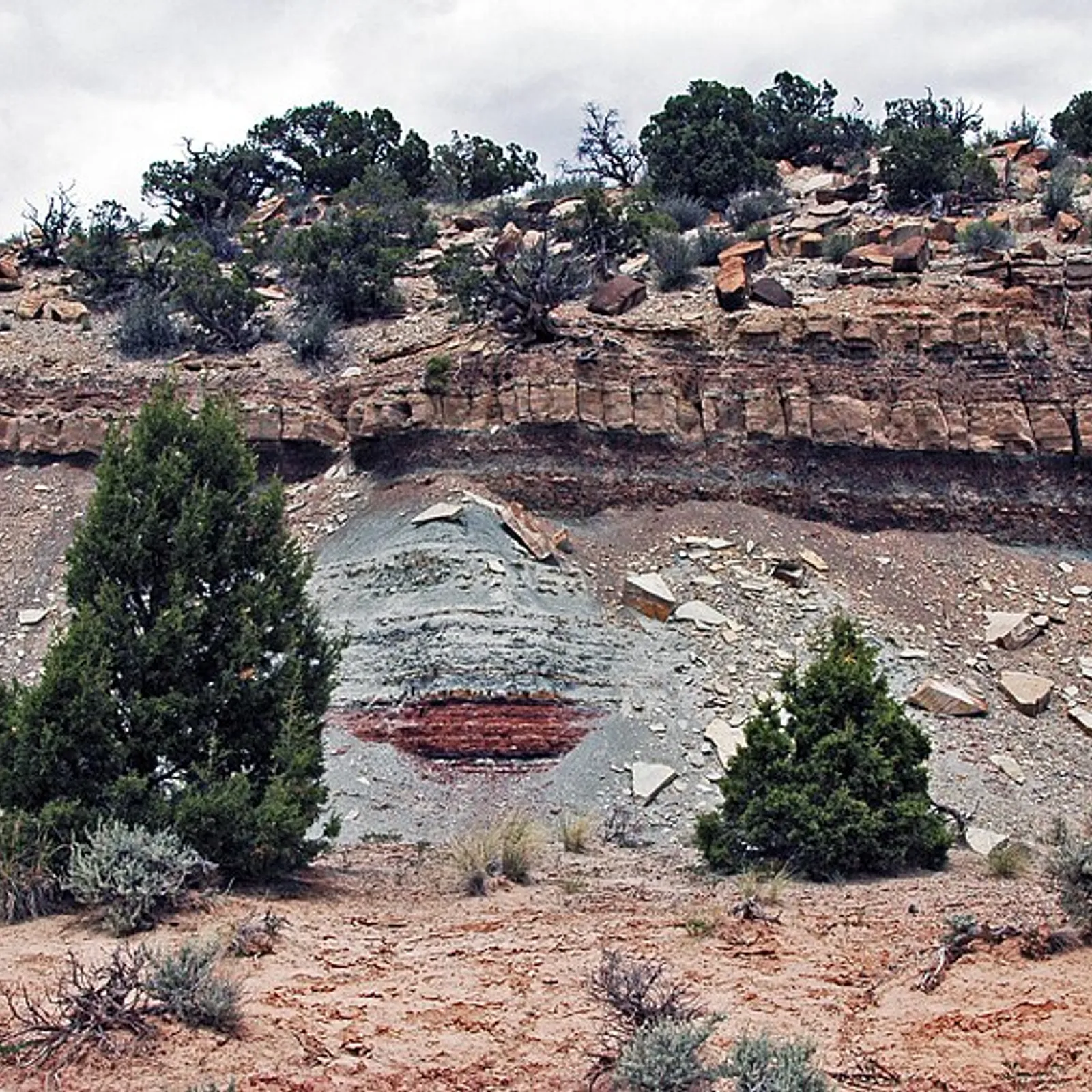 La formation de Morrison