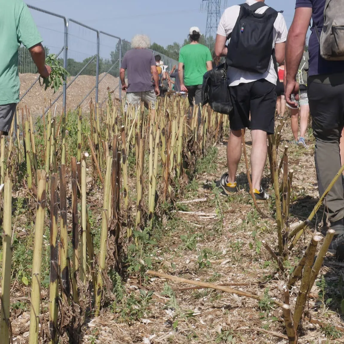 Stourm a-enep ar poulloù-dour bras-bras